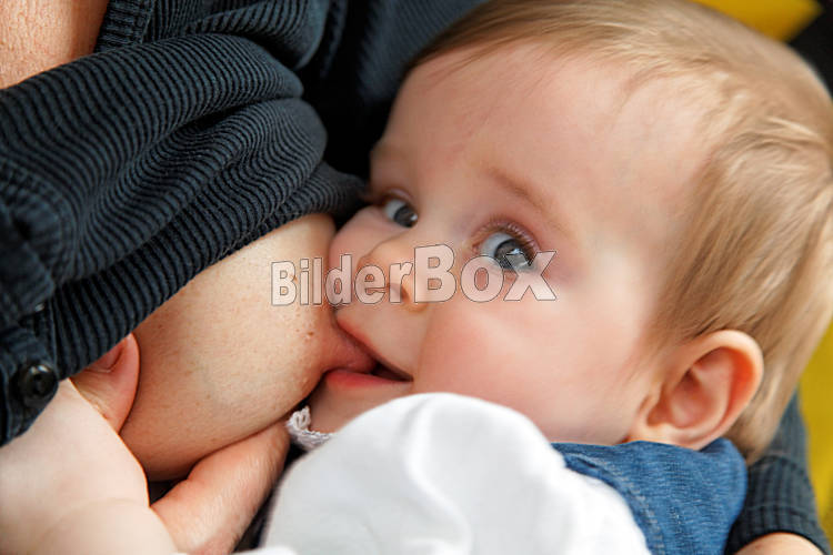 mutter brust 